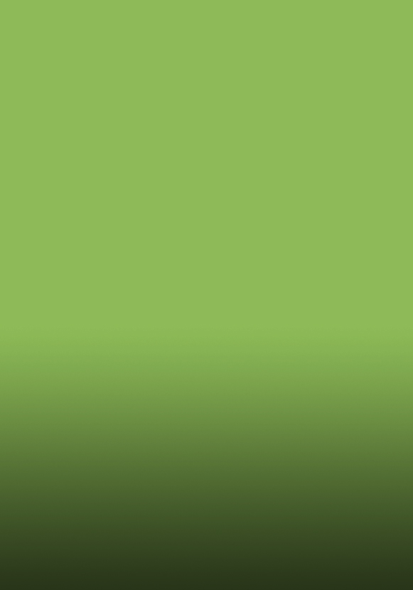 Basil and ricotta pesto