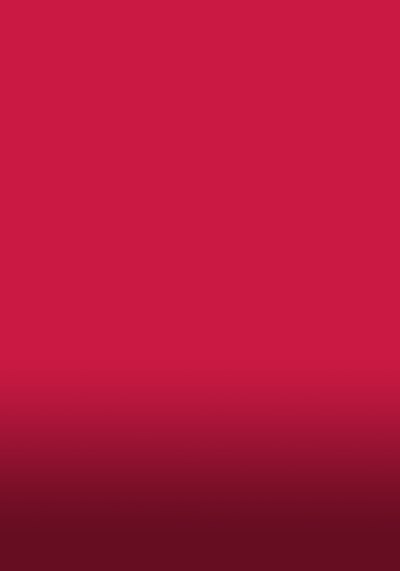 Vegan sun dried tomato pesto